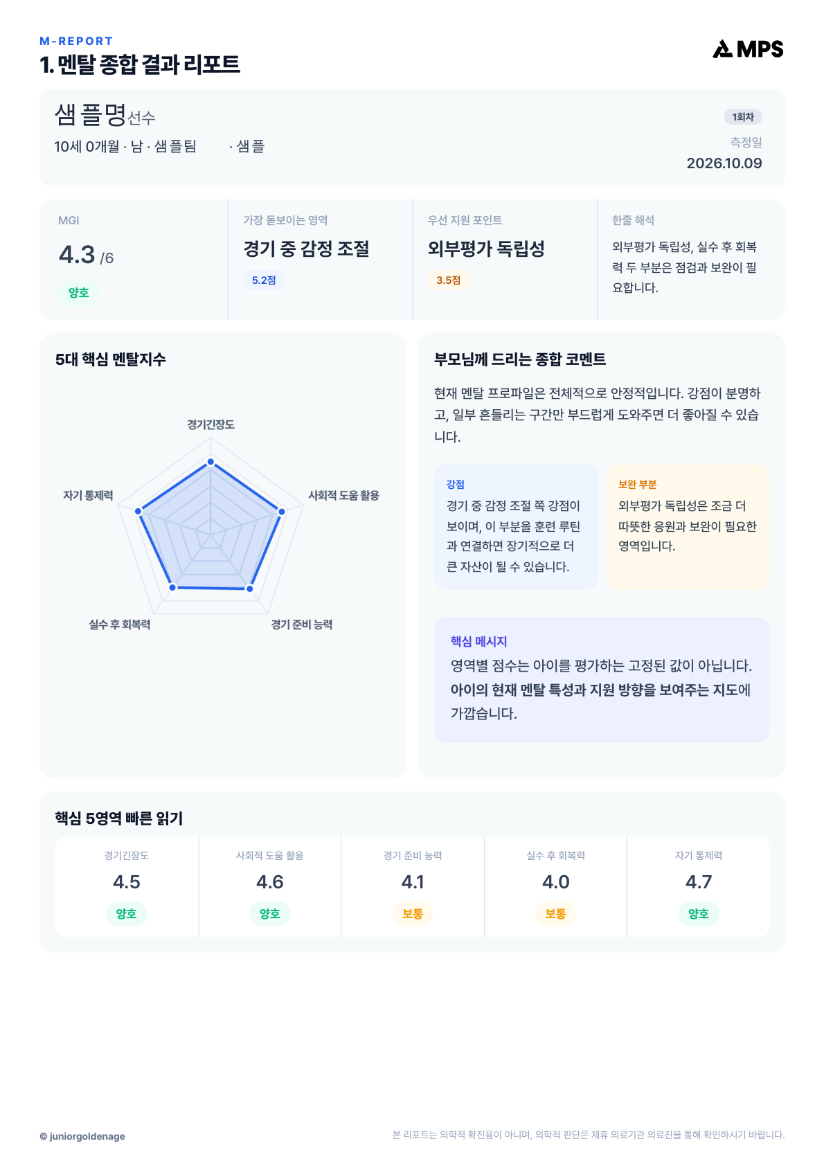 스탠다드 리포트 전체 12페이지 중 2페이지