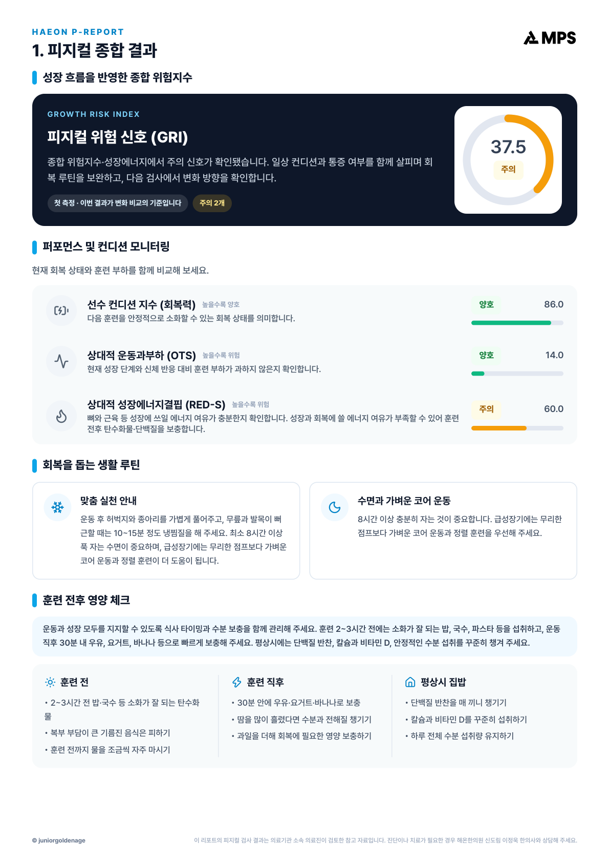 스탠다드 리포트 전체 12페이지 중 7페이지
